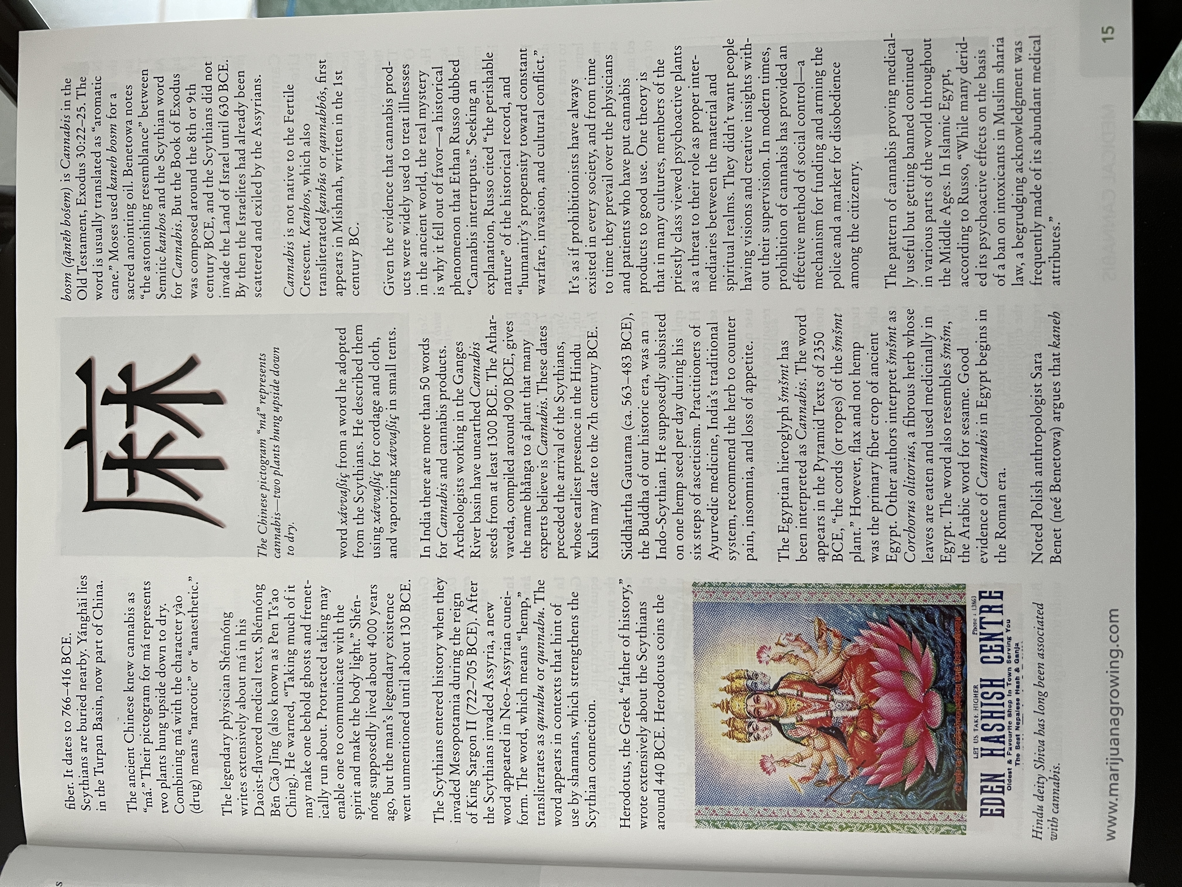 The Cannabis Encyclopaedia by J.C