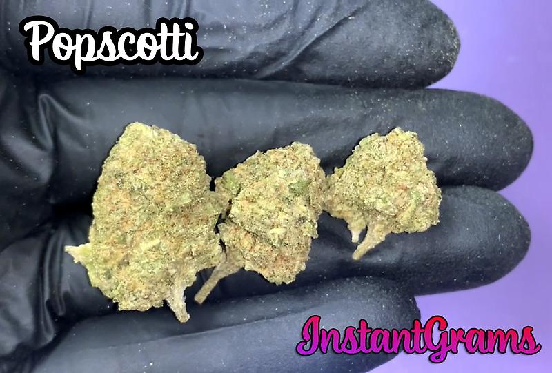 INSTANT Outdoor Cali Buds