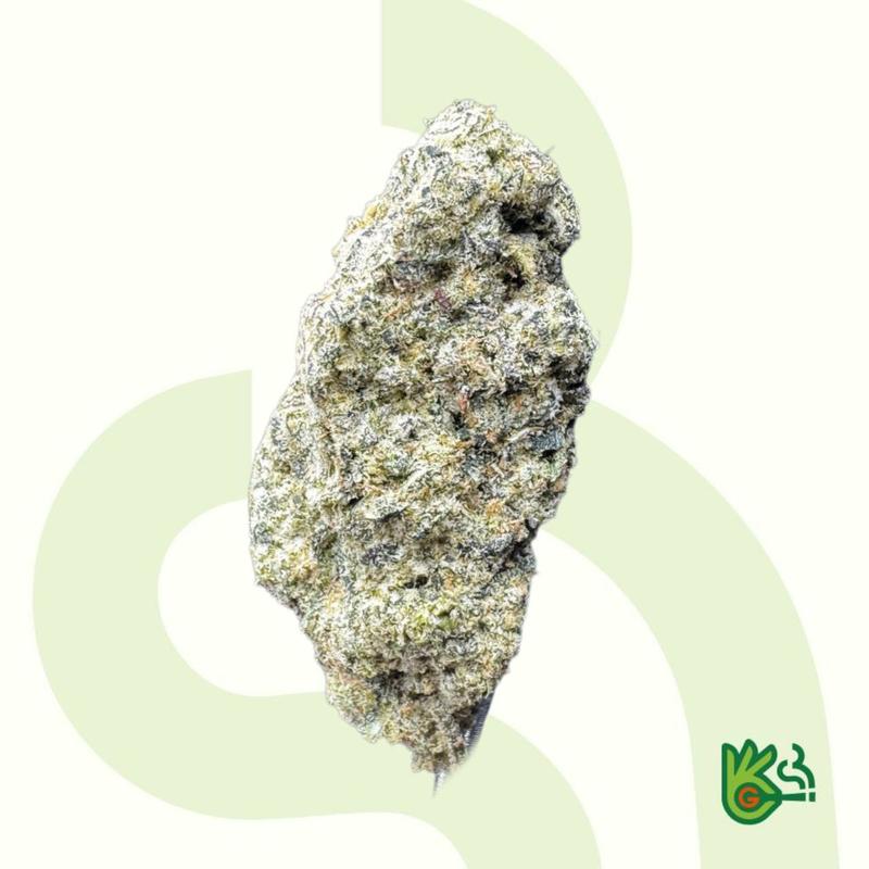 Project 45 *Free Shipping*