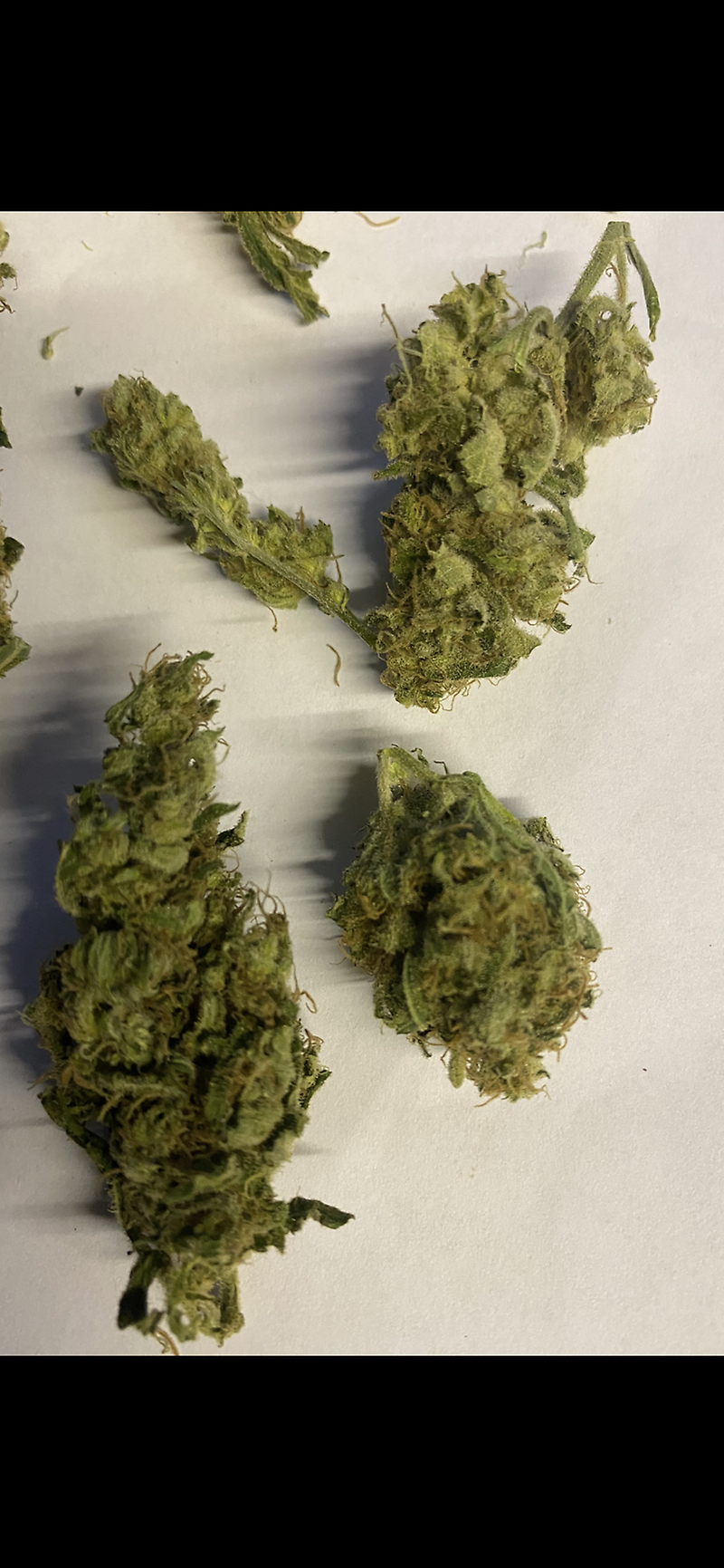 Grade B Super Lemon Haze