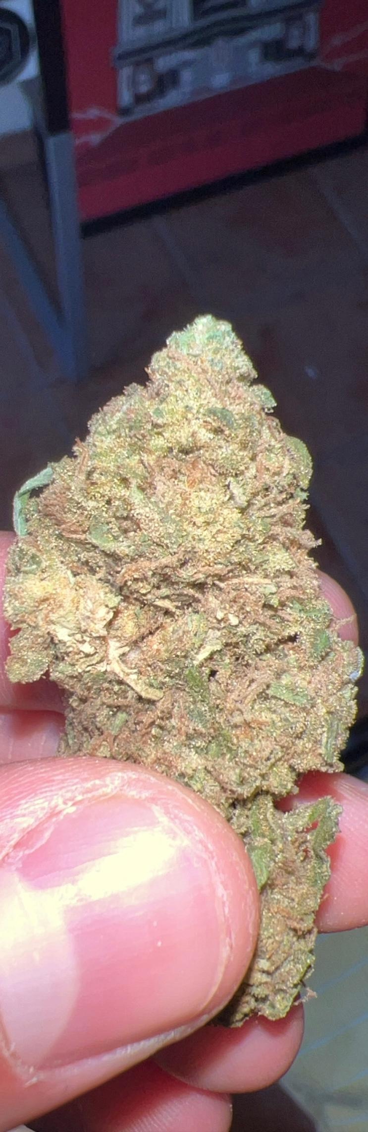 Gobstoppers  (Topshelf Outdoor)