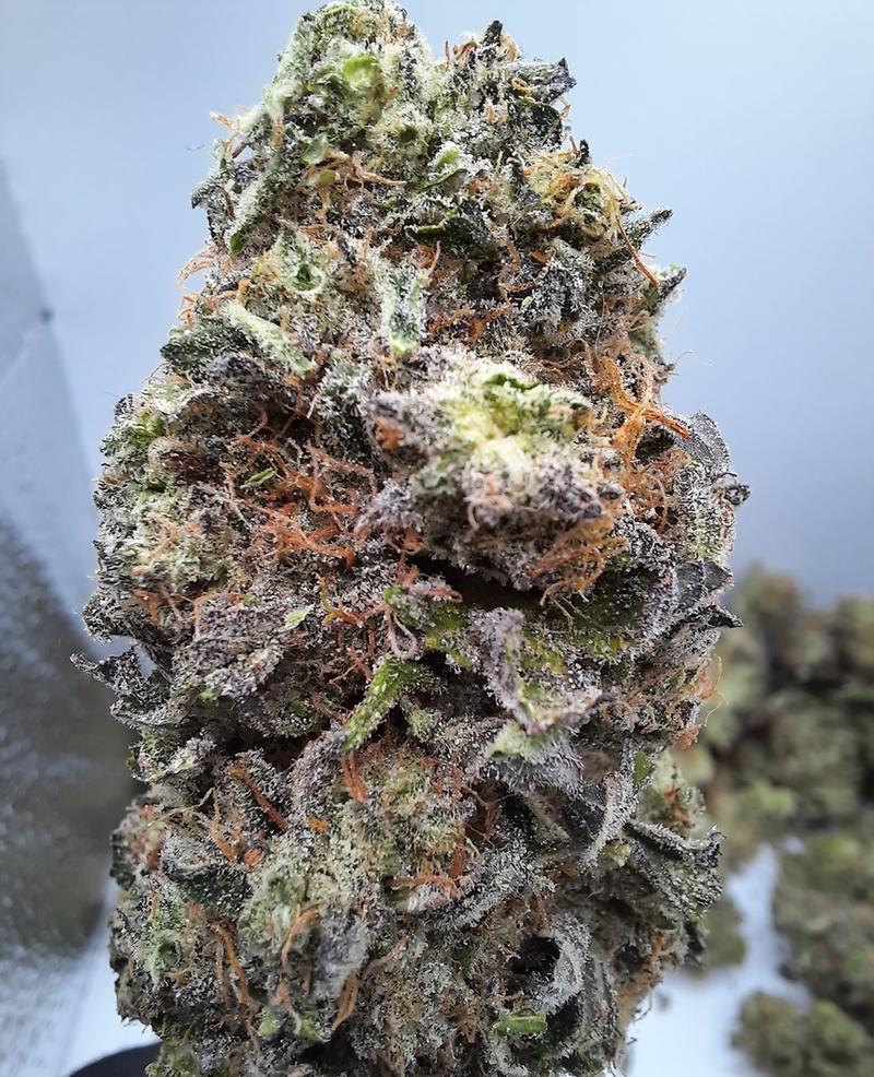 **SLURRICANE - (FREE RM 1ST CLASS DISPATCH)**