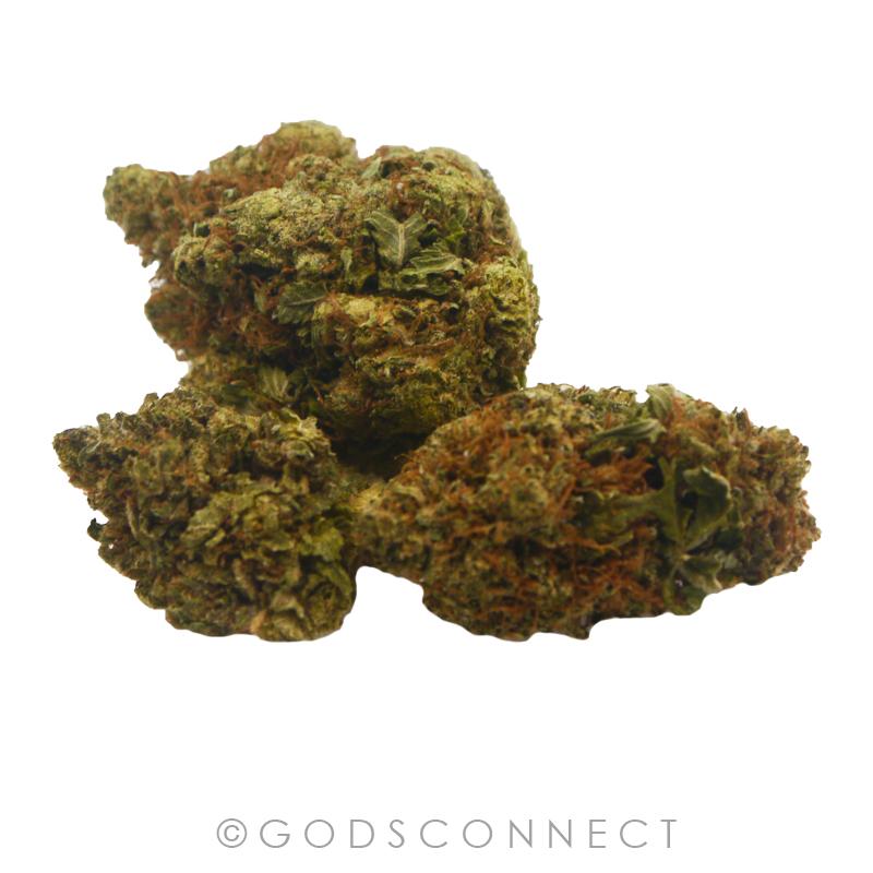 Canada-'Gaddafi OG' -Blackberry Kush X Emerald Headband