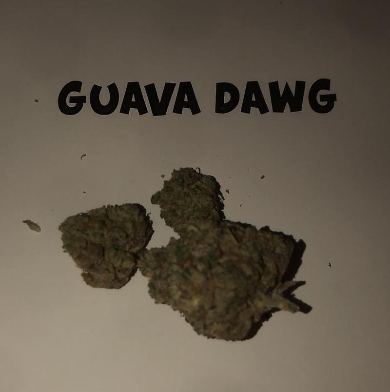 GUAVA DAWG