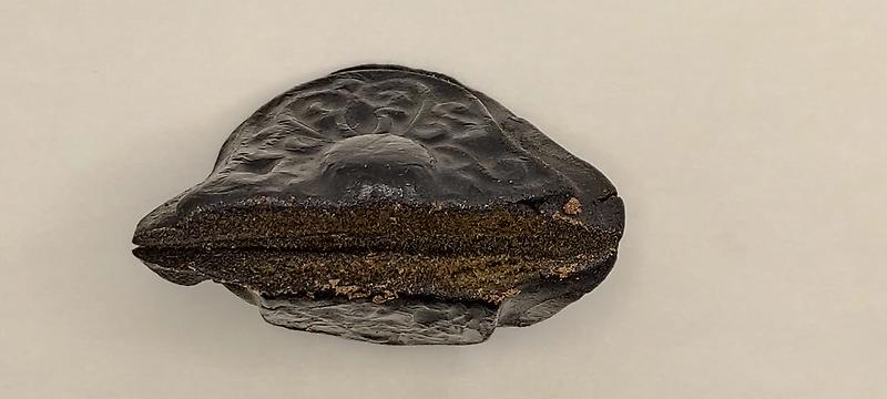 Moroccan Hash "Palms" *Christmas Special*