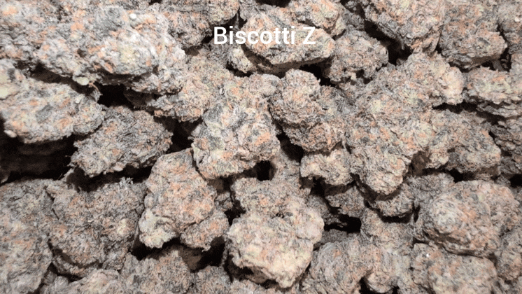 Top Shelf Exotics - Imported Loose Flower