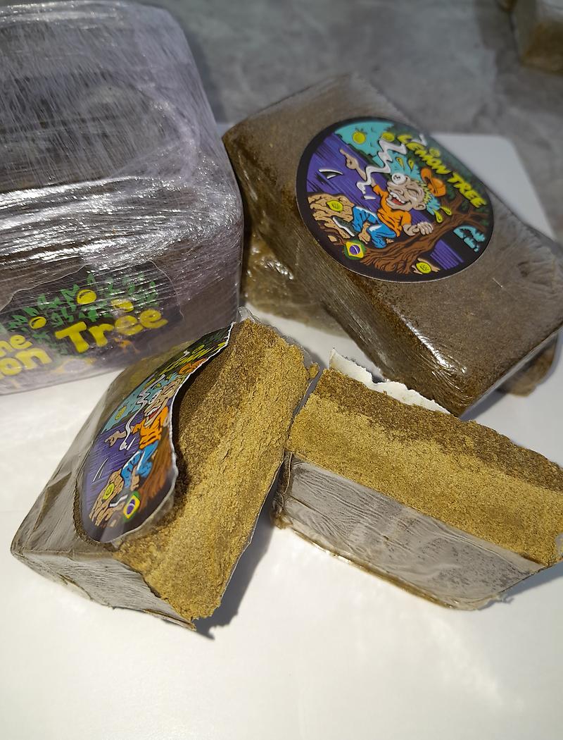 🍋 🎄 LEMON TREE