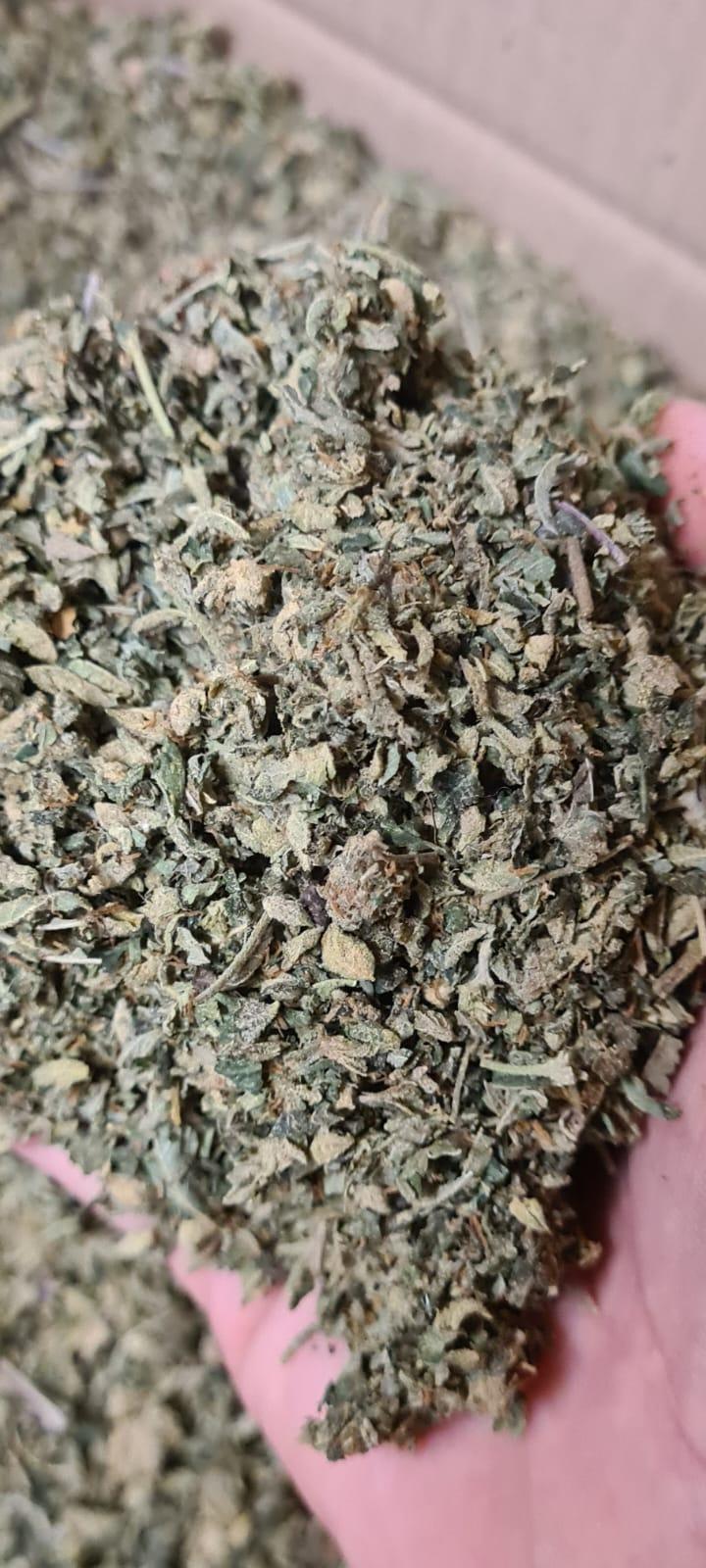 Hemp Lady’s Shake Shack - Variety of Premium Shakes