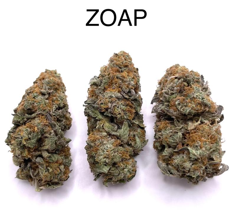 ZOAP
