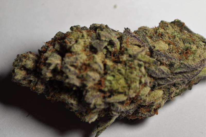 ***StarDawg*** - Lab Cultivated Imports