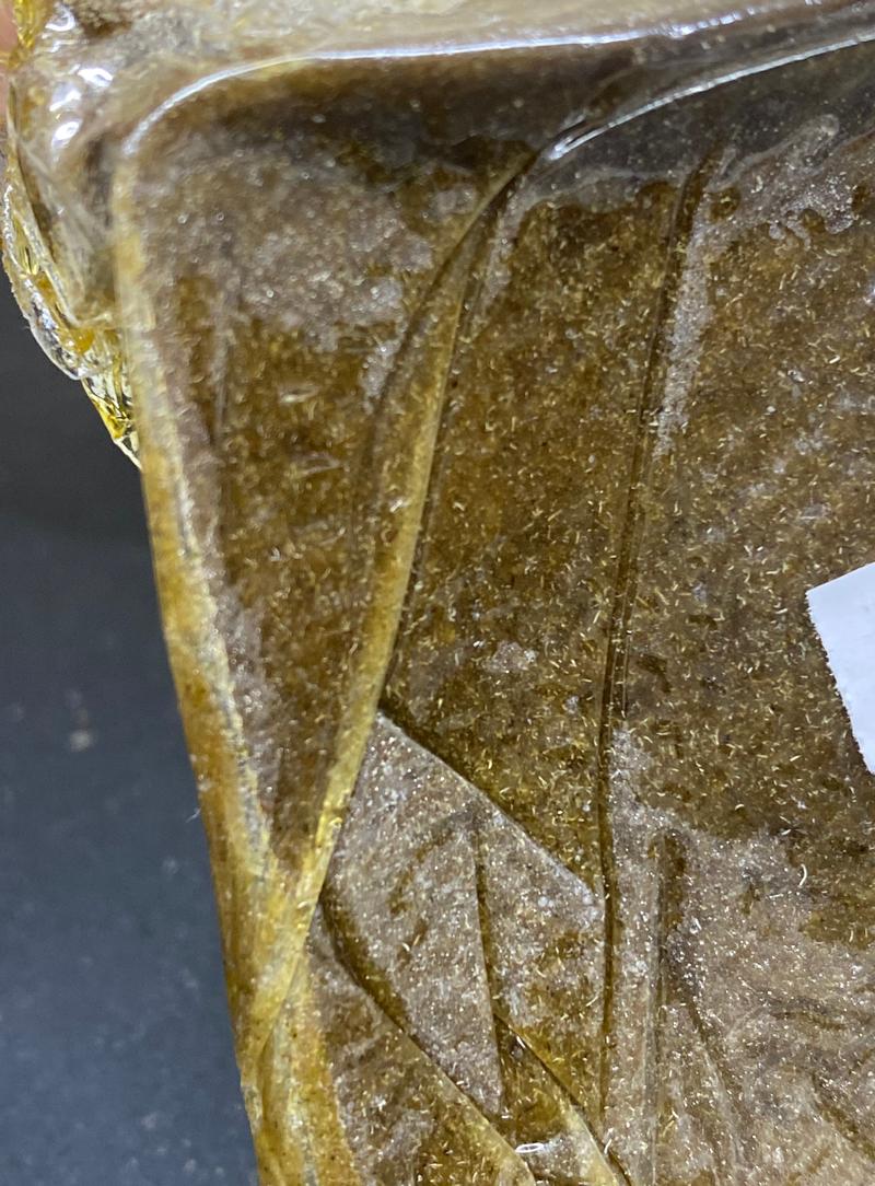 Banana Pie Whole Plant Fresh 🍌