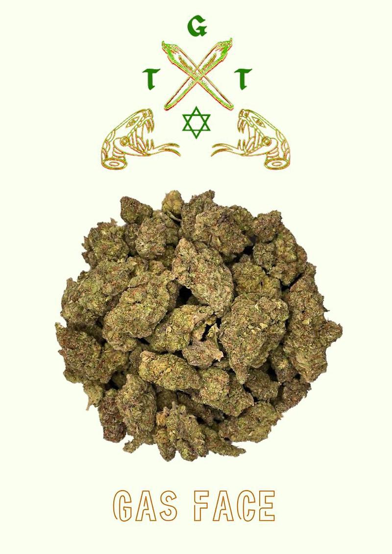 EXCLUSIVE GAS FACE *FREE SHIPPING*