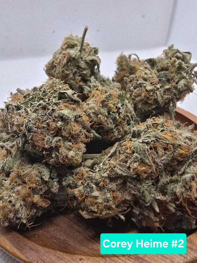 Organic living soil flower