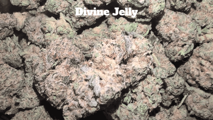 Top Shelf Exotics - Imported Loose Flower