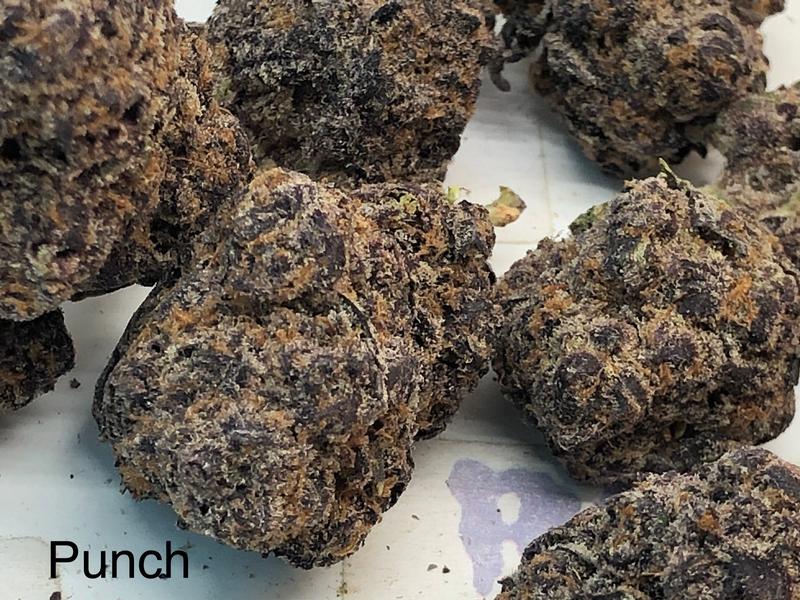 Purple Punch Mid Shelf Cali