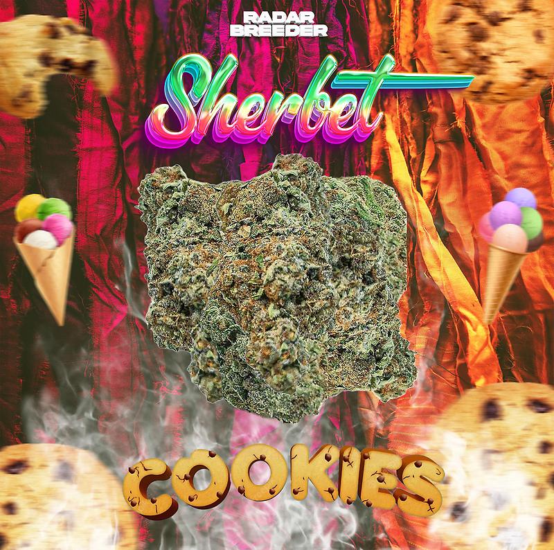 SHERBET COOKIES DUTCH A+