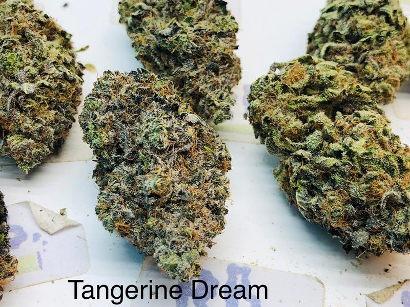 TANGERINE DREAM
