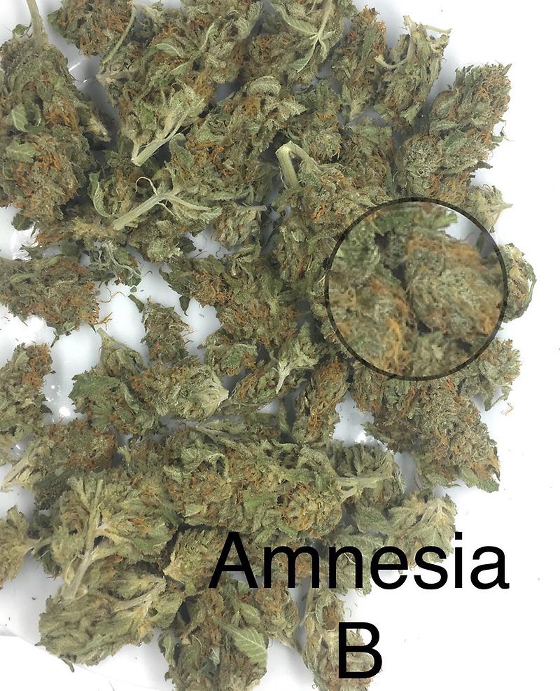 AMNEISA HAZE GRADE B