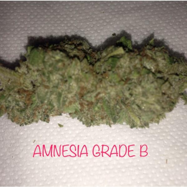 AMNEISA HAZE GRADE B