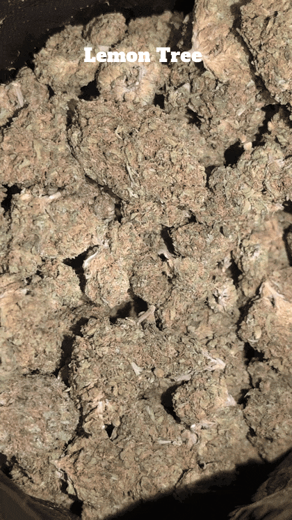 Cali Mids - Loose Import 🇺🇸