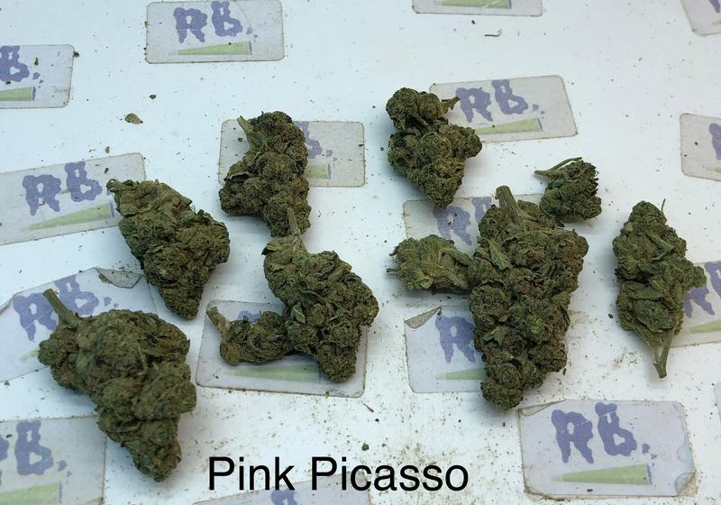 Pink Picasso UK