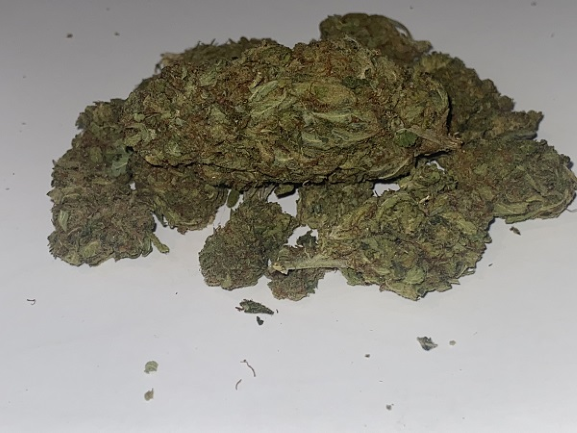 **VALUE LEMON SKUNK** FREE 1ST CLASS UK SHIPPING **