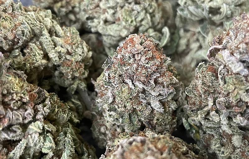 Wedding Pie UK Premium