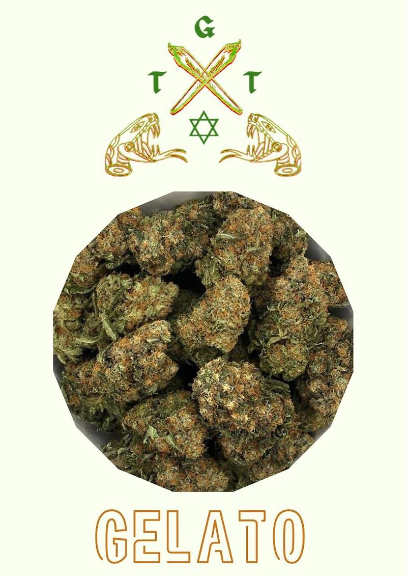 GELATO *FREE SHIPPING*