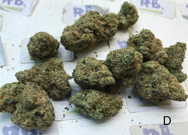 TROPIC DIESEL MID SHELF CALI