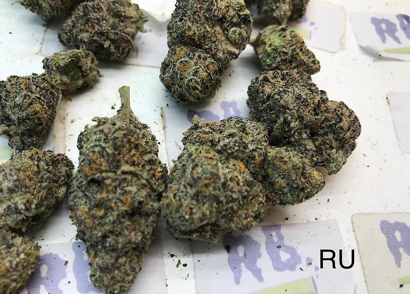 BLACK RUNTZ MID SHELF CALI