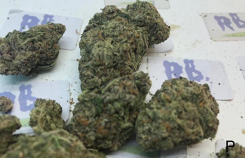 PARIS OG MID SHELF CALI