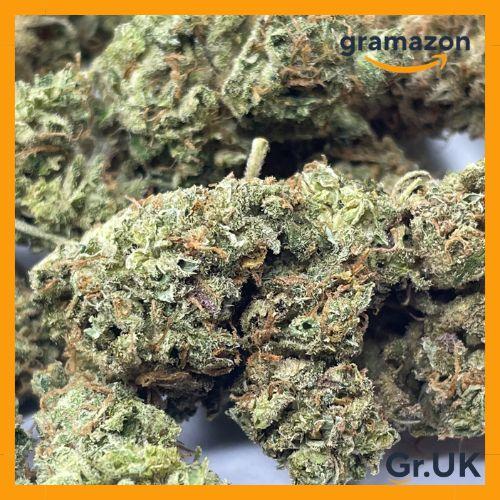 *TROPICAL CHERRY* 10% EXTRA - FREE SHIPPING