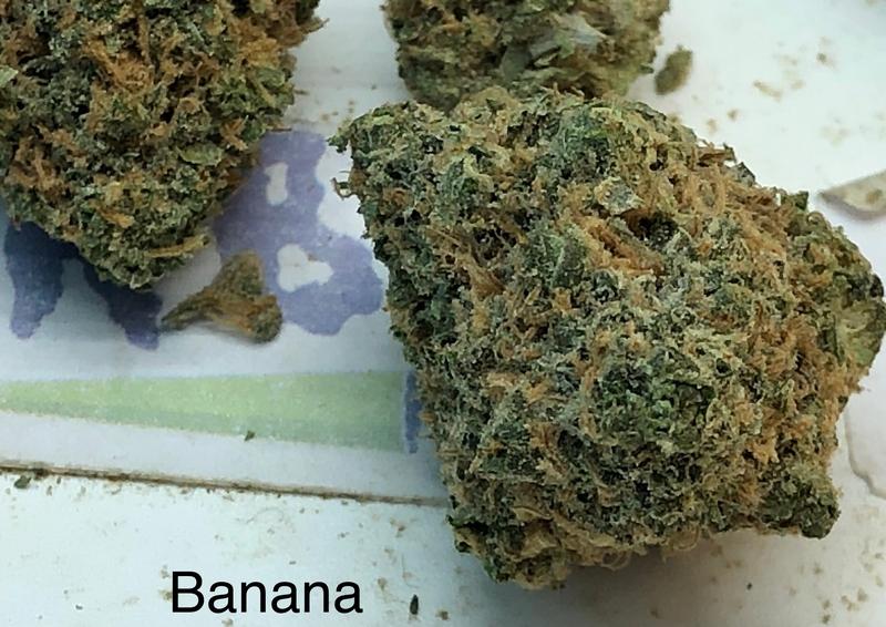 FRIED BANANA (Stardawg Guava x Gelato 41)