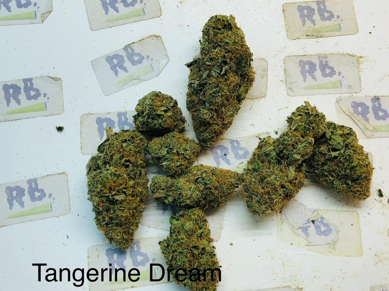 TANGERINE DREAM