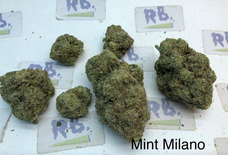 Mint Milano Mid Shelf Cali