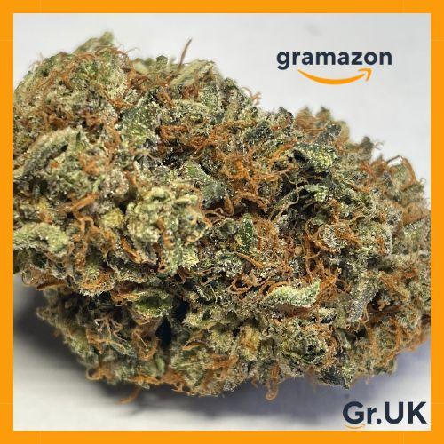 *GUAVO GELATO* 10% EXTRA - FREE SHIPPING