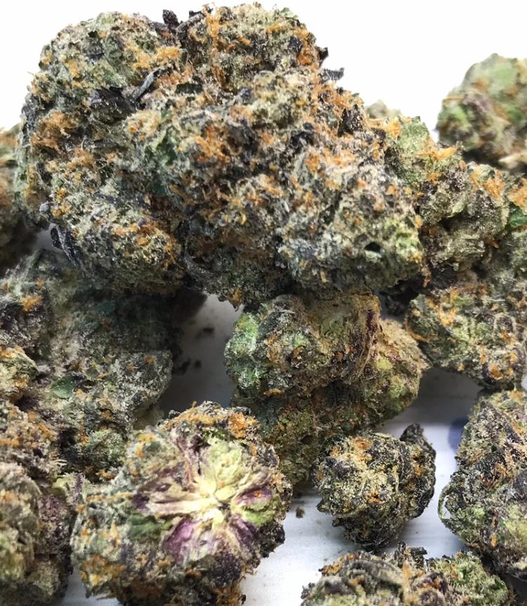 GSC GIRL SCOUT COOKIES MID SHELF CALI