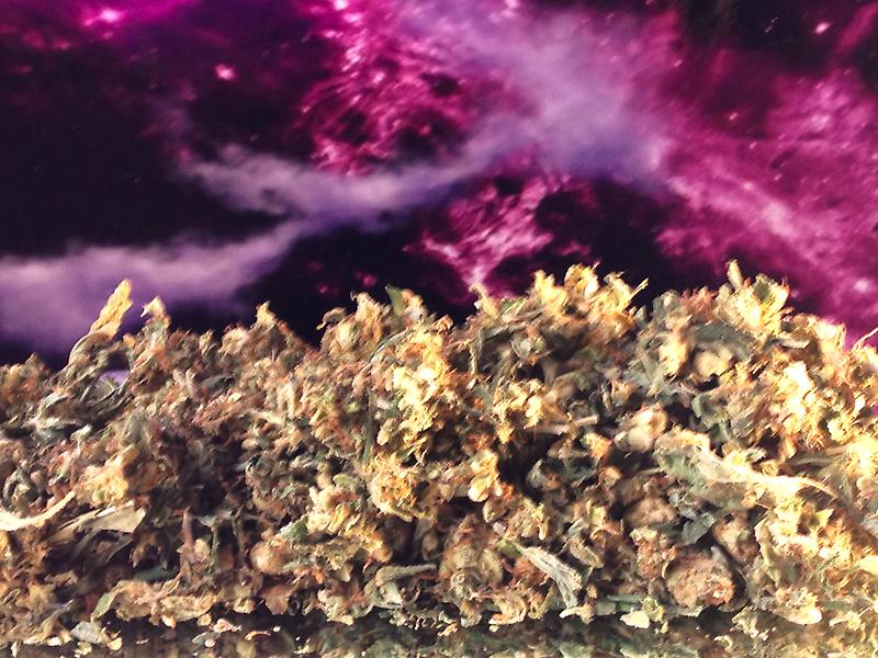 YOUR NATURAL SHAKE VARIETIES