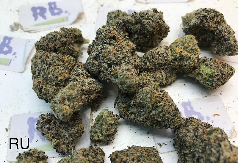 BLACK RUNTZ MID SHELF CALI