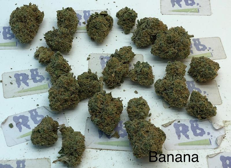 FRIED BANANA (Stardawg Guava x Gelato 41)