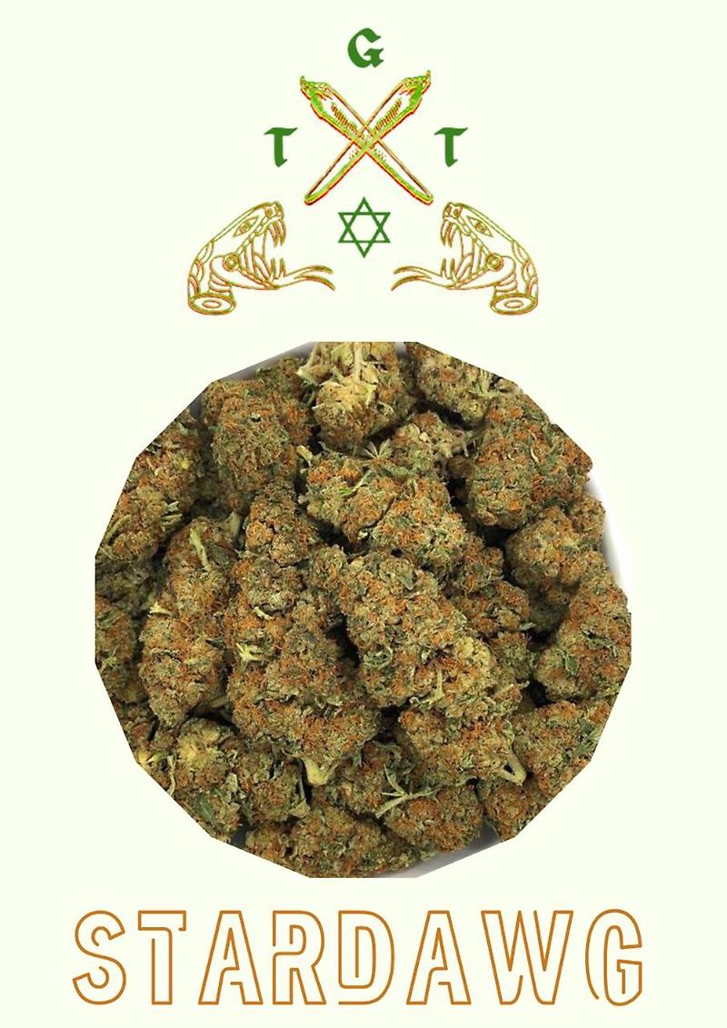 STARDAWG *FREE SHIPPING*