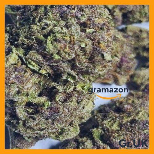 *SHERBANGER PURP* 10% EXTRA - FREE SHIPPING
