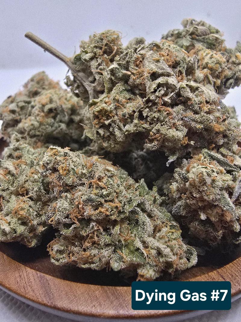 Organic living soil flower