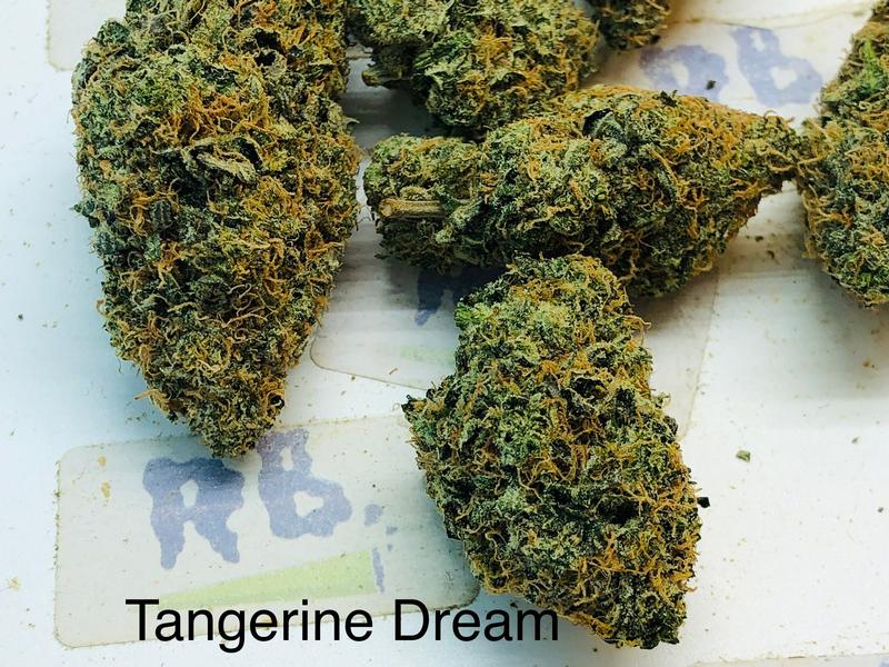 TANGERINE DREAM