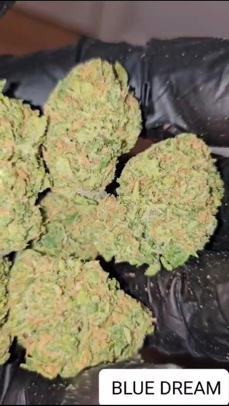 BLUE DREAM (SATIVA)