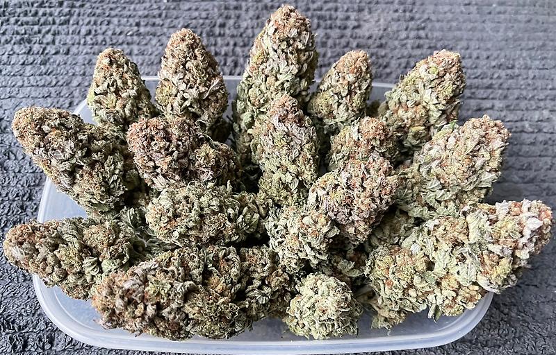 Wedding Pie UK Premium