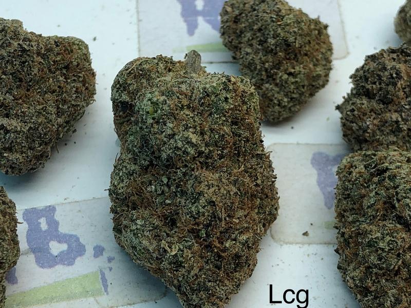 LEMON CHERRY GELATO TOP SHELF CALI