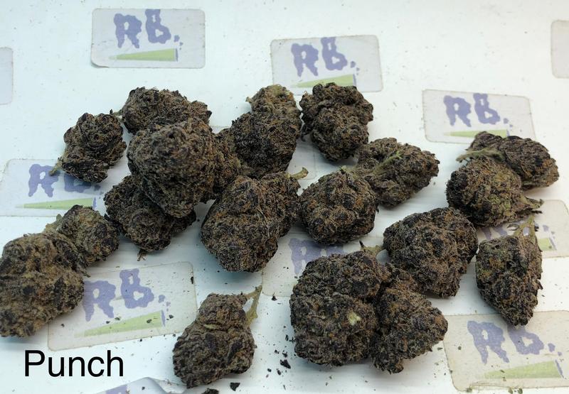 Purple Punch Mid Shelf Cali