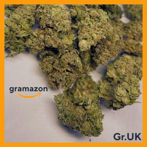 *UK GELONADE* 20% EXTRA - FREE SHIPPING