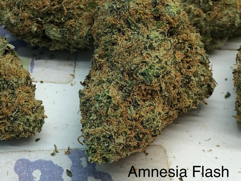 Amnesia Flash Top Shelf UK